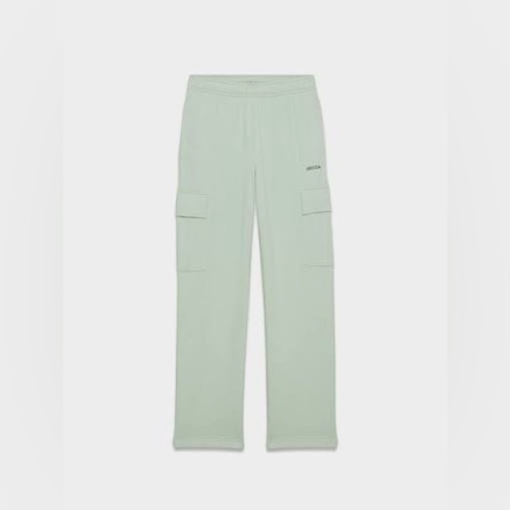 Aritzia Sweatfleece Light Green Cargo SweatPants